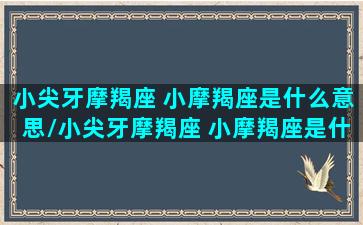 小尖牙摩羯座 小摩羯座是什么意思/小尖牙摩羯座 小摩羯座是什么意思-我的网站